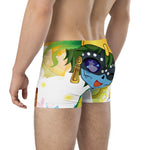 Boxer Briefs