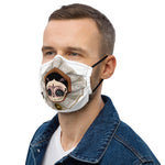 Premium face mask