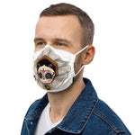 Premium face mask
